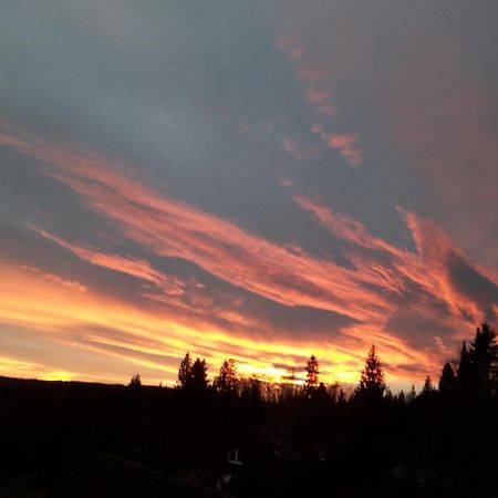 Ferienwohnung Haus Finkbeiner Kniebis Exteriér fotografie