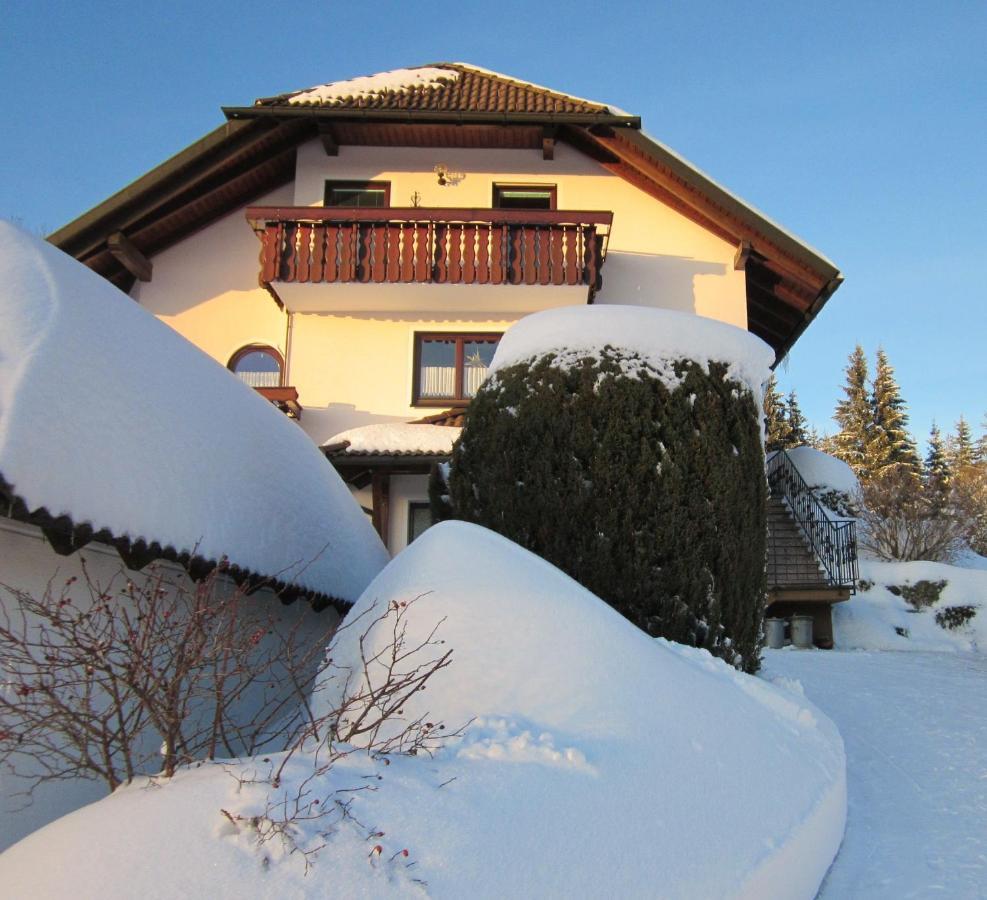Ferienwohnung Haus Finkbeiner Kniebis Exteriér fotografie