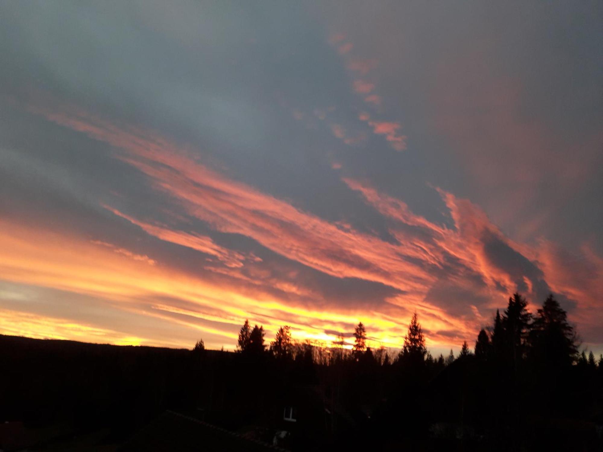 Ferienwohnung Haus Finkbeiner Kniebis Exteriér fotografie